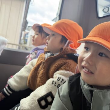 白鳥を見てきまし...